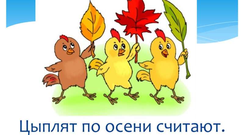 От пушистого цыпленка до пернатой курочки: как меняется жизнь осеннего птенца. Смотреть фото От пушистого цыпленка до пернатой курочки: как меняется жизнь осеннего птенца. Смотреть картинку От пушистого цыпленка до пернатой курочки: как меняется жизнь осеннего птенца. Картинка про От пушистого цыпленка до пернатой курочки: как меняется жизнь осеннего птенца. Фото От пушистого цыпленка до пернатой курочки: как меняется жизнь осеннего птенца